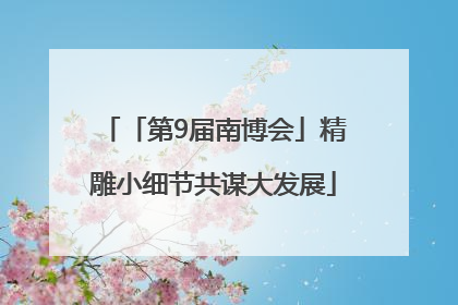 「第9届南博会」精雕小细节共谋大发展