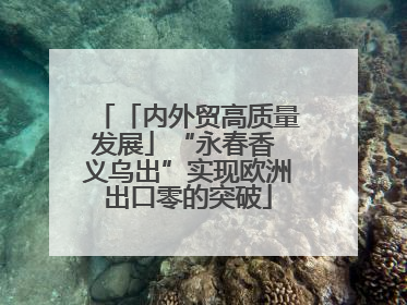 「内外贸高质量发展」“永春香 义乌出”实现欧洲出口零的突破