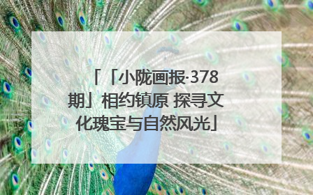 「小陇画报·378期」相约镇原 探寻文化瑰宝与自然风光