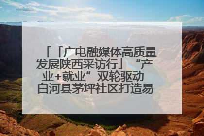 「广电融媒体高质量发展陕西采访行」“产业+就业”双轮驱动 白河县茅坪社区打造易地搬迁后扶新样本