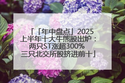 「年中盘点」2025上半年十大牛熊股出炉：两只ST涨超300% 三只北交所股挤进前十