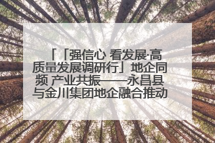「强信心 看发展·高质量发展调研行」地企同频 产业共振——永昌县与金川集团地企融合推动重大项目建设
