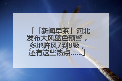 「新闻早茶」河北发布大风蓝色预警，多地阵风7到8级，还有这些热点……