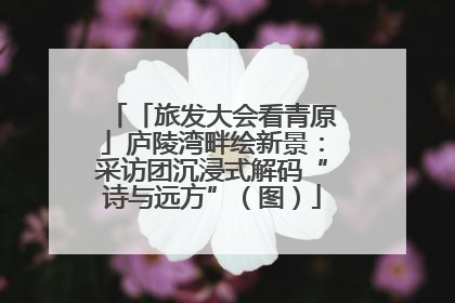 「旅发大会看青原」庐陵湾畔绘新景：采访团沉浸式解码“诗与远方”（图）