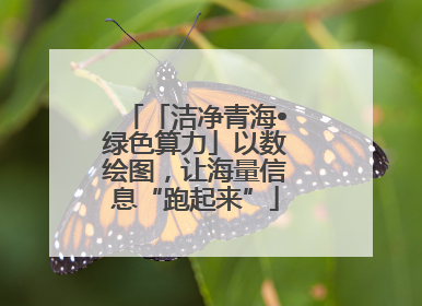 「洁净青海•绿色算力」以数绘图，让海量信息“跑起来”