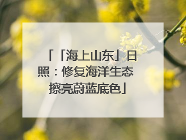 「海上山东」日照：修复海洋生态 擦亮蔚蓝底色