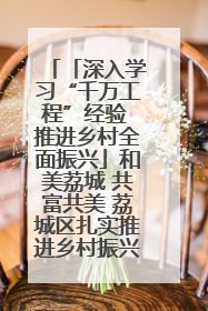 「深入学习“千万工程”经验 推进乡村全面振兴」和美荔城 共富共美 荔城区扎实推进乡村振兴工作
