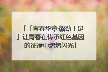 「青春华章·赣劲十足」让青春在传承红色基因的征途中熠熠闪光