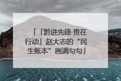 「黔进先锋·贵在行动」赵大志的“民生账本”画满勾勾
