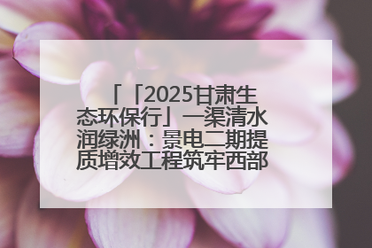 「2025甘肃生态环保行」一渠清水润绿洲：景电二期提质增效工程筑牢西部生态安全屏障