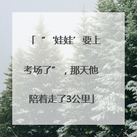 “‘娃娃’要上考场了”，那天他陪着走了3公里