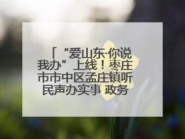 “爱山东·你说我办”上线！枣庄市市中区孟庄镇听民声办实事 政务服务暖心升级