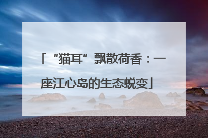 “猫耳”飘散荷香：一座江心岛的生态蜕变