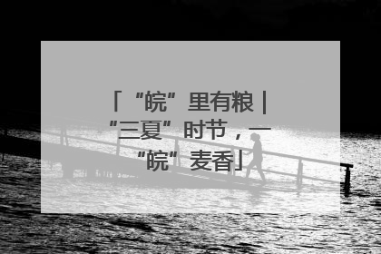 “皖”里有粮｜“三夏”时节，一“皖”麦香