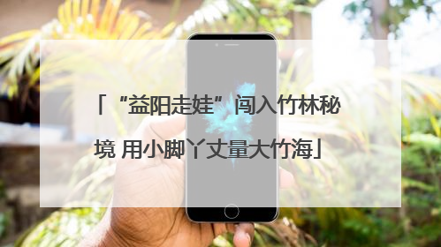 “益阳走娃”闯入竹林秘境 用小脚丫丈量大竹海