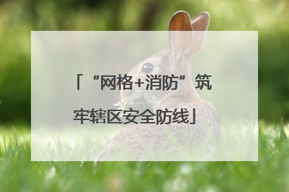 “网格+消防”筑牢辖区安全防线