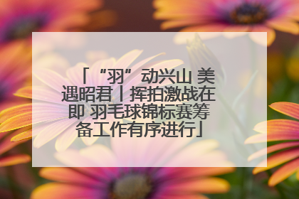 “羽”动兴山 美遇昭君丨挥拍激战在即 羽毛球锦标赛筹备工作有序进行
