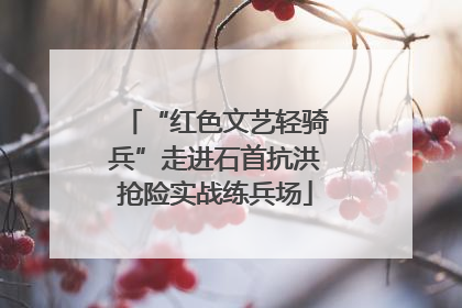 “红色文艺轻骑兵”走进石首抗洪抢险实战练兵场