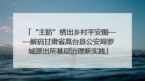 “主防”绣出乡村平安图——解码甘肃省高台县公安局罗城派出所基层治理新实践