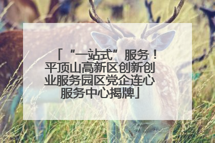 “一站式”服务！平顶山高新区创新创业服务园区党企连心服务中心揭牌