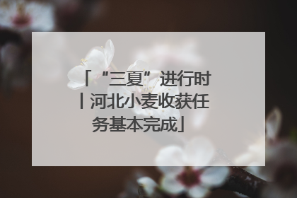 “三夏”进行时丨河北小麦收获任务基本完成
