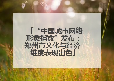 “中国城市网络形象指数”发布：郑州市文化与经济维度表现出色