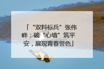 “双料标兵”张伟峰：破“心墙”筑平安，展现青春警色