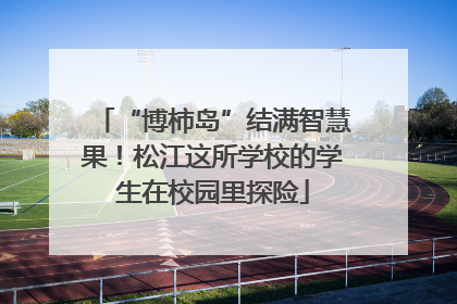 “博柿岛”结满智慧果！松江这所学校的学生在校园里探险
