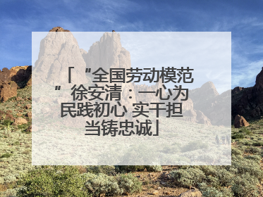 “全国劳动模范”徐安清：一心为民践初心 实干担当铸忠诚