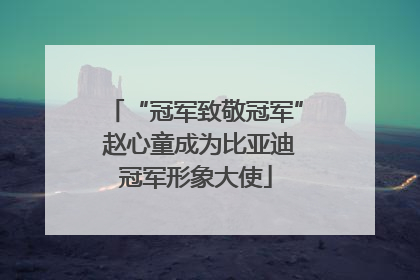 “冠军致敬冠军” 赵心童成为比亚迪冠军形象大使