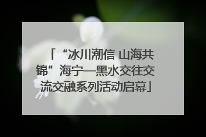 “冰川潮信 山海共锦”海宁—黑水交往交流交融系列活动启幕