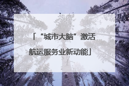 “城市大脑”激活航运服务业新动能