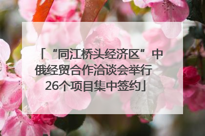 “同江桥头经济区”中俄经贸合作洽谈会举行 26个项目集中签约