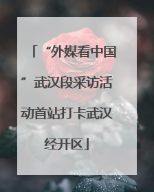“外媒看中国”武汉段采访活动首站打卡武汉经开区