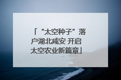 “太空种子”落户湖北咸安 开启太空农业新篇章