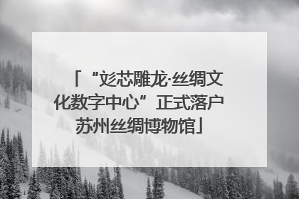 “彣芯雕龙·丝绸文化数字中心”正式落户苏州丝绸博物馆