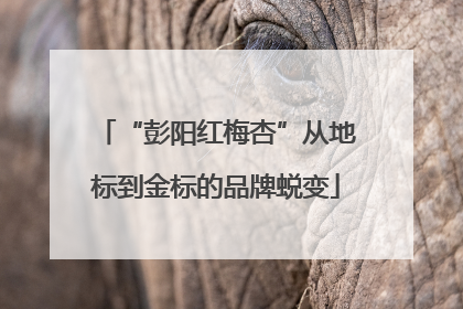 “彭阳红梅杏”从地标到金标的品牌蜕变