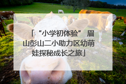 “小学初体验” 眉山彭山二小助力区幼萌娃探秘成长之旅