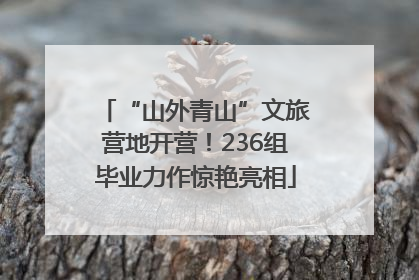 “山外青山”文旅营地开营！236组毕业力作惊艳亮相
