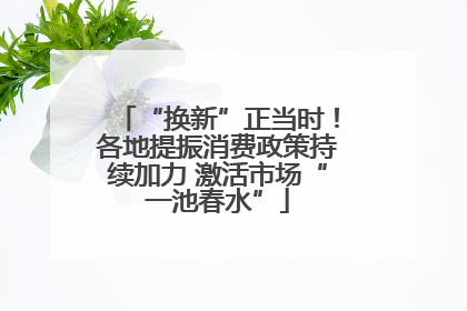 “换新”正当时！各地提振消费政策持续加力 激活市场“一池春水”