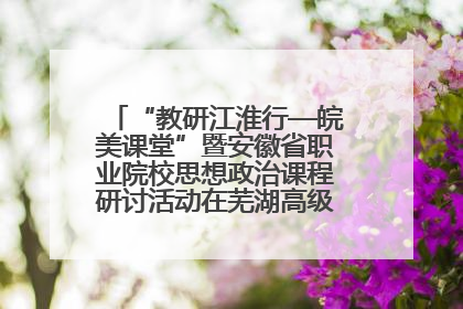 “教研江淮行—皖美课堂”暨安徽省职业院校思想政治课程研讨活动在芜湖高级职业技术学校举行