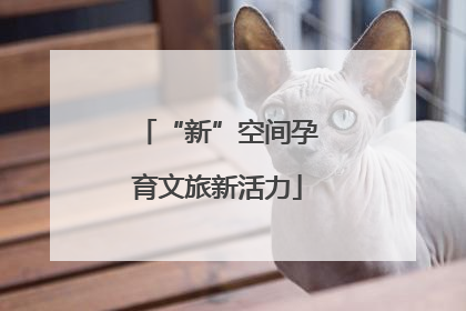 “新”空间孕育文旅新活力