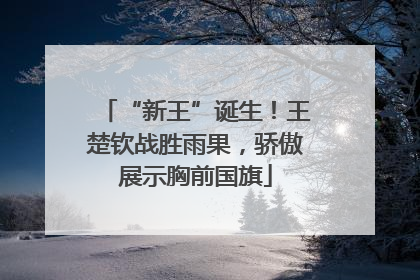 “新王”诞生！王楚钦战胜雨果，骄傲展示胸前国旗
