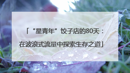 “星青年”饺子店的80天：在波浪式流量中探索生存之道