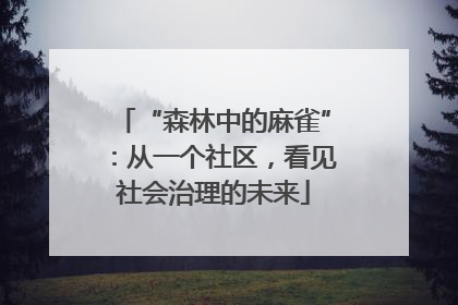 “森林中的麻雀”：从一个社区，看见社会治理的未来