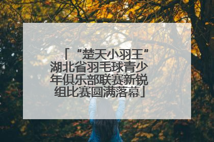 “楚天小羽王”湖北省羽毛球青少年俱乐部联赛新锐组比赛圆满落幕