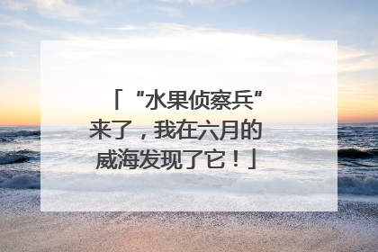 “水果侦察兵”来了，我在六月的威海发现了它！