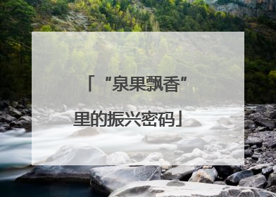 “泉果飘香”里的振兴密码