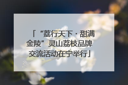 “荔行天下・甜满金陵”灵山荔枝品牌交流活动在宁举行