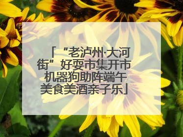 “老泸州·大河街”好耍市集开市 机器狗助阵端午美食美酒亲子乐